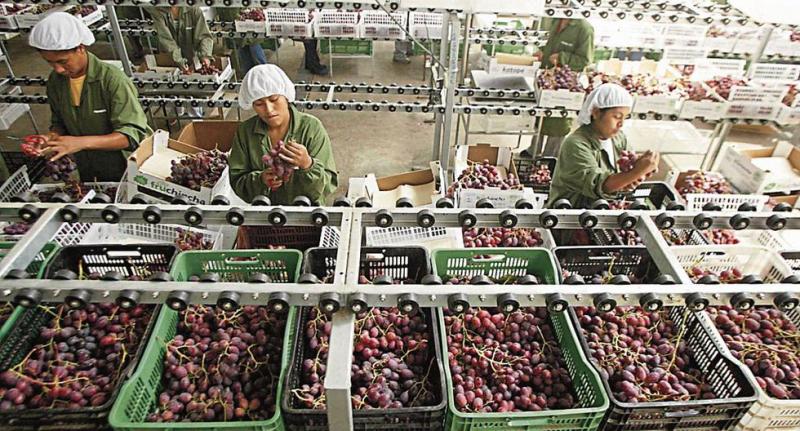 Perú fue el noveno proveedor mundial de frutas