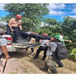 Niño autista de 7 años desaparecido en Satipo es hallado con vida tras ocho días de búsqueda
