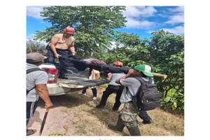 Niño autista de 7 años desaparecido en Satipo es hallado con vida tras ocho días de búsqueda