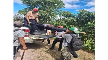 Niño autista de 7 años desaparecido en Satipo es hallado con vida tras ocho días de búsqueda