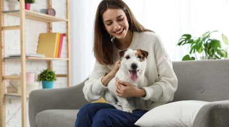 ¿Tienes mascotas en casa? 4 consejos para lavar tu ropa y eliminar pelos, olores y residuos