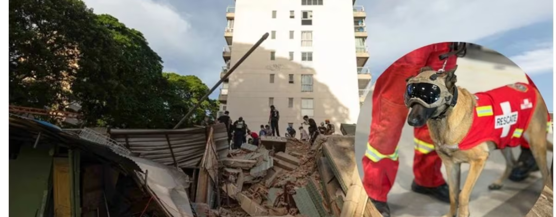 Entre escombros y esperanza: Kayra, la rescatista peruana que fue decisiva para salvar una vida en Venezuela