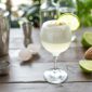 ADEX y cancillería refuerzan estrategia para posicionar el pisco en el mundo