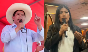 Diputada Catherin Palomino admite denuncia contra sobrino de Pedro Castillo: entre querellas, chats y negaciones