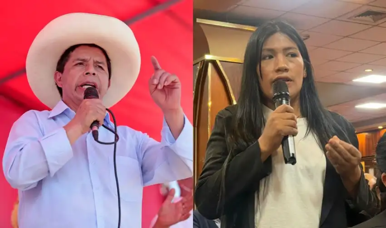 Diputada Catherin Palomino admite denuncia contra sobrino de Pedro Castillo: entre querellas, chats y negaciones
