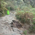 Machu Picchu suspende temporalmente el ingreso de turistas por intensas lluvias y daños en el Camino Inca