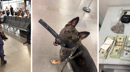 ¡Arny lo olfateó! Perro de Aduanas detecta más de US$12 mil que pasajero llevaba sin declarar en Tumbes