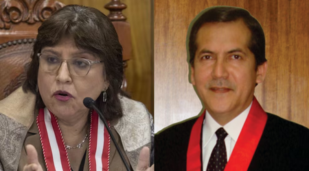 JNJ destituye a juez que otorgó medida cautelar a favor de Delia Espinoza