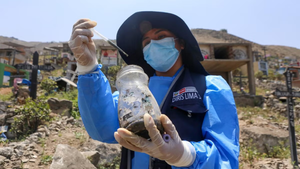 ¡Alerta sanitaria en Perú! Minsa advierte aumento de enfermedades ante la llegada de El Niño