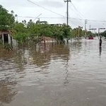 Lluvias torrenciales en Piura inundan viviendas y ponen en riesgo cultivos de arroz