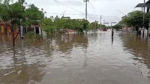 Lluvias torrenciales en Piura inundan viviendas y ponen en riesgo cultivos de arroz