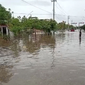 Lluvias torrenciales en Piura inundan viviendas y ponen en riesgo cultivos de arroz