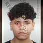 https://dirandro.policia.gob.pe/modulos/noticias/noticia.xhtml?id=7093
